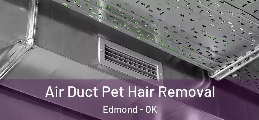  Air Duct Pet Hair Removal Edmond - OK