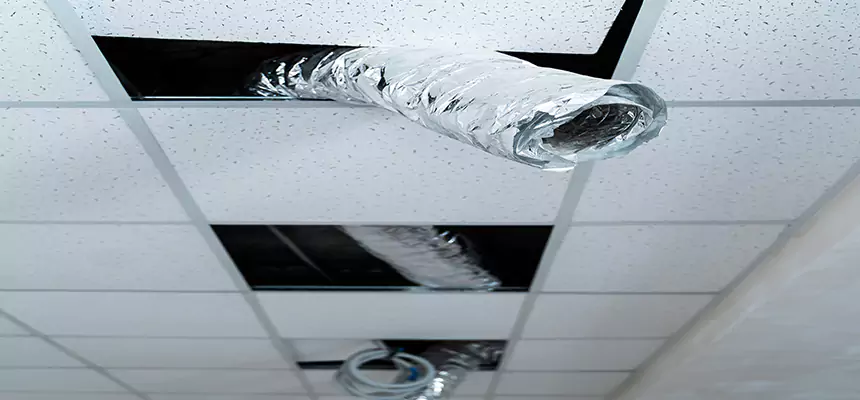 Our Air Duct Pet Hair Removal Services in Edmond, OK