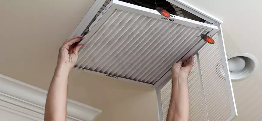 Our Insect Removal from Air Ducts Services in Edmond, OK