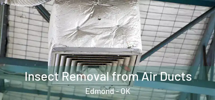 Insect Removal from Air Ducts Edmond - OK
