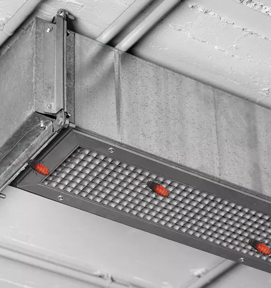 Affordable Insect Removal from Air Ducts in Edmond, OK